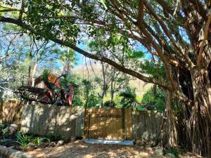 ZenCapeTown Forest Retreat