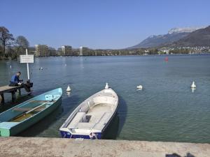 Appartements Cocon annecien entre lac et montagne classe 1 etoile : photos des chambres