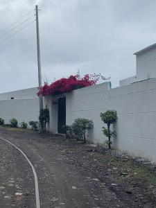 Casa campestre Finca la Roca