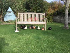 Ramsey House - Luxury Licensed B&B - Parking and Guest Lounge