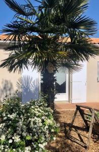 LE RENDEZ VOUS DES VACANCES