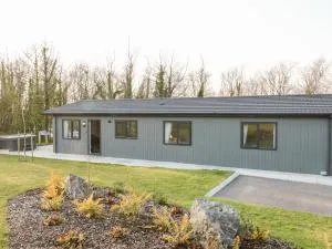 Mayflower - Broadwoodwidger