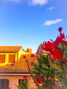 Suite with Terrace room in Alla Terrazza Apartment