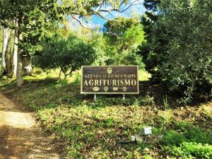Agriturismo Nappi - Azienda Agricola Piano delle Vigne