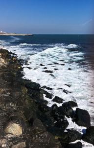 Studio David Eforie Nord