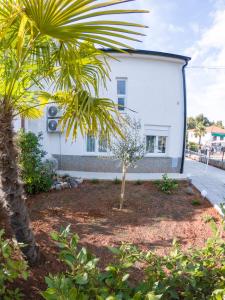 Holiday House JASNICA