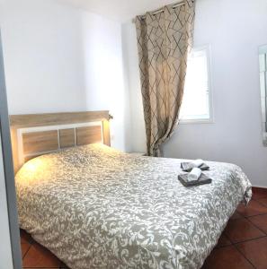 Primavera holiday apartment