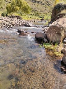 Den Hagen Guest Farm