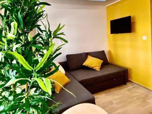 Studio apartment F&J