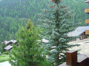 Apartment Grand Vallon