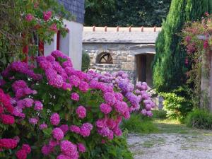 Maisons de vacances Breton Granite stone house near the sea, Ploudalmezeau-Portsall : photos des chambres