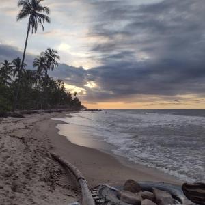 Cabaña Buenos Aires
