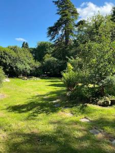 Woodland Cottage Charleton Estate