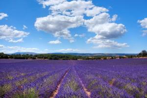 Appartements Tres belle residence avec piscine en Provence : photos des chambres