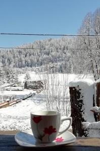 Vila Carmen kuća za odmor sa wellnessom,Sunger