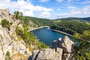 Appartements Gite Terredhelene calme et nature, proche Strasbourg et tous commerces : photos des chambres