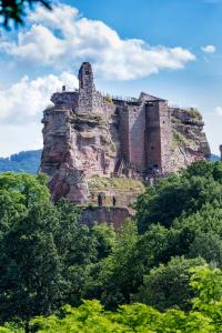 Appartements Gite Terredhelene calme et nature, proche Strasbourg et tous commerces : photos des chambres