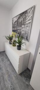 Apartament Formoza