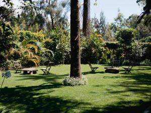Sanna Eco Lodge