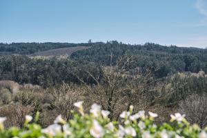 Pensión A Solaina 3