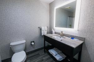Standard Room room in Holiday Inn Express Hotel & Suites Hamburg an IHG Hotel