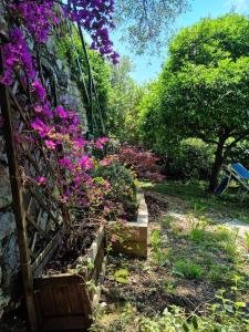 B&B La Terrazza Sui Fieschi