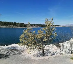 Robinson's house - Bašić