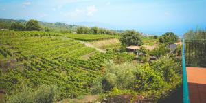 Le Case Del Merlo Turismo Rurale