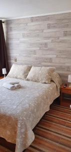 Santiago Centro - Zenteno 2