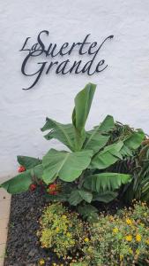 Finca La Suerte Grande