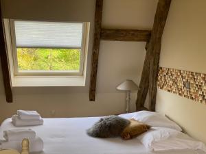 Maisons de vacances Locations - Domaine Le Coq Enchante : photos des chambres