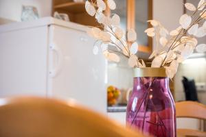 Apartment Mirna in Tar