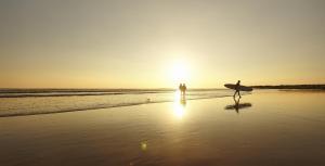 Chalets A Bretignolles sur Mer superbe chalet decore avec gout : photos des chambres