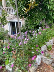 Chambre spacieuse indépendante dans villa plus parking privée