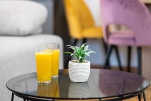 Apartment RoNi + besplatan parking