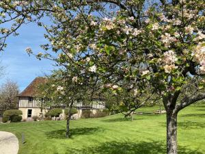 Maisons de vacances Locations - Domaine Le Coq Enchante : photos des chambres