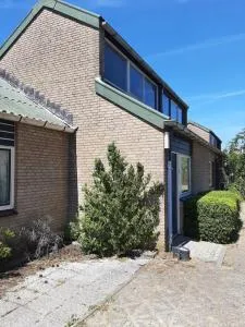 Stern - 布勒伊尼瑟