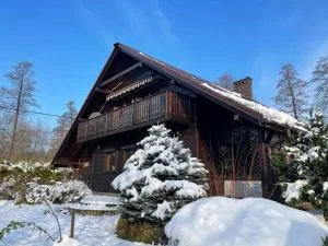 BESKIDIUM - uroczy dom Brenna - 加沃泽