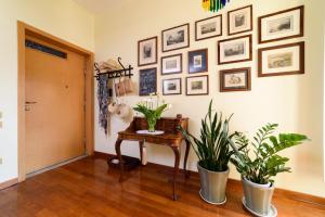 La Camelia Apartment