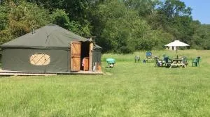 Willow Yurt - Liphook