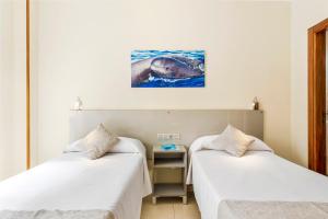 Interior Double or Twin Room room in Hotel Andrea´s