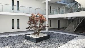 Kékvitorla Apartman Keszthely