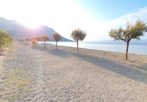 Sandy Beach Apartment