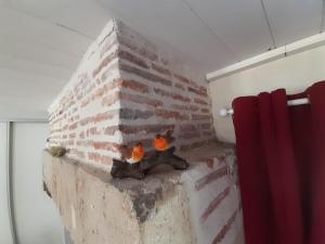 Maisons de vacances Gite des oiseaux : photos des chambres