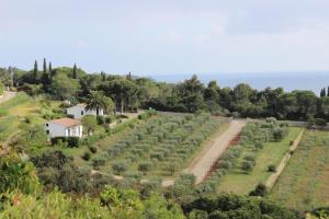 APPARTAMENTI ZUCCALE - A 200 mt dalla spiaggia