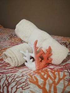 APPARTAMENTO CORALLO with PRIVATE GARDEN img63