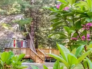 A-Frame of Mind Retreat - Meredith Lodging - Rhododendron