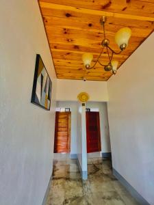 MOMO Hostel