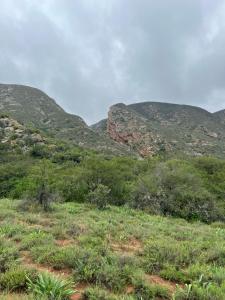 Baviaanskloof Laaste Kamp - Wild Bush Camping