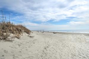 Marina and Beach Club Access Condo in Southport